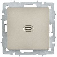 BRITE Розетка USB C 65Вт высокоскоростная зарядка РЮ12-1-БрШ шампань IEK | код BR-U13-065-K37 | IEK