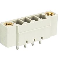 Вилочный разъем, вертикальный, на плату, с монтажными фланцами, шаг 3,81 мм, 10 полюсов, фиксация на плате пайкой, 250V, 8А, без маркировки, цвет: серый, серия 8813 S GF | код 25.626.4053.0 | Wieland