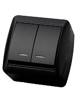 Выключатель 2-кл. открытой установки с подсветкой IP44 10А графит Селигер TDM | код SQ1818-0304 | TDM