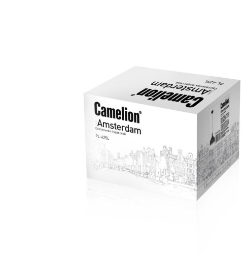 Светильник PL-425L С73 подвес. Amsterdam 1хE27 60Вт 230В сер.+медь Camelion 13030 фото 3 Светильник PL-425L С73 подвес. Amsterdam 1хE27 60Вт 230В сер.+медь Camelion 13030 фото 3