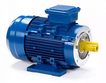 Электродвигатель 63 С2-SDN- IM B34 0.37/3000 Китай (ESQ) | код 01.05.01.000010 | ESQ