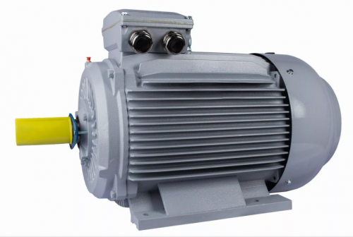 Электродвигатель 315 M2-SDN-Б1-S12-IE3 IM B3 132/3000 Китай (ESQ PR) | код 01.05.02.000105 | ESQ