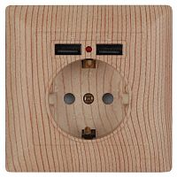 Розетка Intro Solo 4-410-11 с заземлением P+E Schuko со шторками, 16А-250В + 2хUSB, IP20, СУ, сосна | код Б0053720 | ЭРА