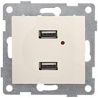 GUSI Bravo механизм розетки USB, двойной, скрытая установка. Цвет бежевый. | код С10USB2-003 | GUSI ELECTRIC