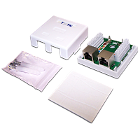 Настенная розетка, 2 порта RJ-45 категории 5е, STP, белая | код TWT-SM2-4545/S-WH | TWT