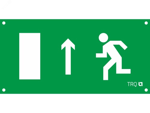 Пиктограмма ПЭУ 013 (Выход прямо вверх) 240х125 РС-M (2шт) | код 2501002380 | Световые Технологии Пиктограмма ПЭУ 013 (Выход прямо вверх) 240х125 РС-M (2шт) | код 2501002380 | Световые Технологии