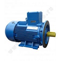 Электродвигатель 180 М8 У1, 380/660В, 1ExdIIBT4 Gb, IM 2081 15/750 Орлан (АИМУ) | код 01.02.02.000478 | ESQ