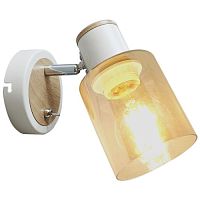 Светильник настенно-потолочный спот поворотный с выключателем 1хЕ27 40Вт 7057-701 Jamilly Rivoli | код Б0054660 | Rivoli