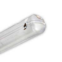 Светильник ЛСП-44-2х14-012 Flagman ЭПРА, IP65