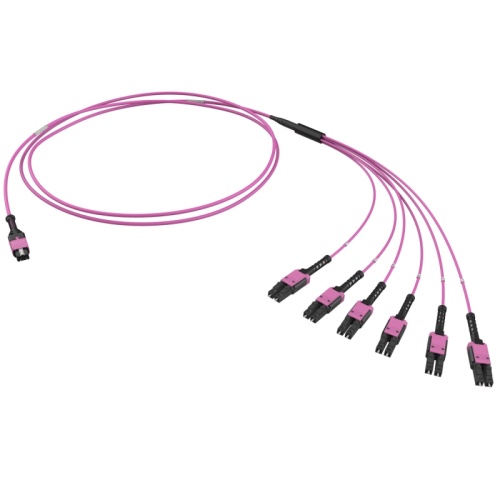 Оптическая разветвительная сборка 12ОВ 50/125 OM4, 1xMTP PRO(12)/6хLC Duplex Uniboot, 2м (предустановленная конфигурация: MTP Male | код RNFML12402 | DKC