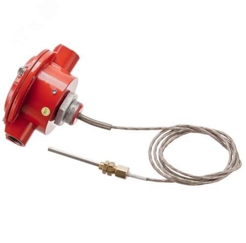 Извещатель пожарный тепловой взрывозащищенный программируемый, без кабельных вводов | код ИП101-07вт-H2 (200-250) | Эридан Извещатель пожарный тепловой взрывозащищенный программируемый, без кабельных вводов | код ИП101-07вт-H2 (200-250) | Эридан