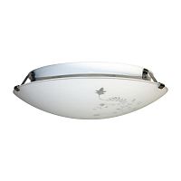 Светильник Нежность 300 НПБ 01-2х60-139 М16 матовый белый кл.штамп металлик ИУ | код 1005205637 | Элетех