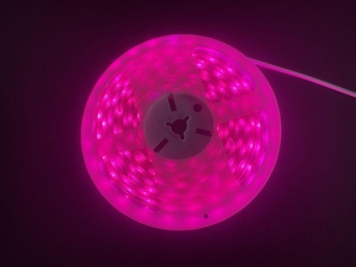 Лента светодиодная ФИТО DSL-010 IP65 (уп.3м) Camelion 15840 фото 6 Лента светодиодная ФИТО DSL-010 IP65 (уп.3м) Camelion 15840 фото 6