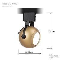 Трековый светильник однофазный TR35-GU10 MG MR16 матовое золото под лампу | код Б0053297 | ЭРА