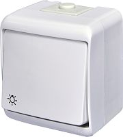 Кнопка свет с подсветкой (IP54) VHE-5L | код 004668011 | ETI