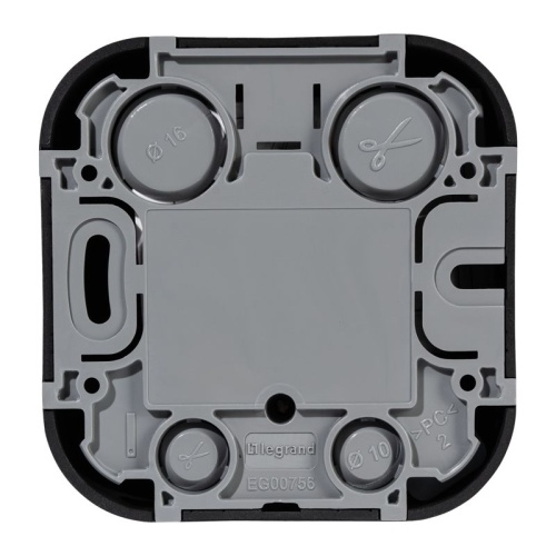 Розетка компьютерная RJ45 категория 5e UTP Legrand Quteo IP20 накладная чёрная матовая | код 782480 | Legrand