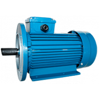 Электродвигатель 80 А4-SDN-IE2 IM B35 0.55/1500 Турция (ESQ TR) | код 01.05.223158 | ESQ