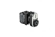 Кнопка сдвоенная черно-белая выступающая (1НО+1НЗ) | код B102K21HB | EMAS