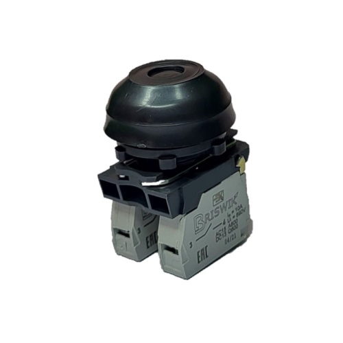 Выключатель Briswik КЕ 081/2м черный 1но+1нз Цилиндр с наружным протектором IP66 УХЛ2 10А | код aZ-DB-3Ai-0121 | Briswik