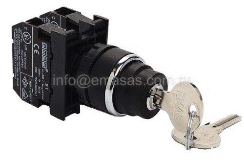 Кнопка с ключом 2-0-1, ключ вынимается во всех положениях (2НO) | код B101AC30 | EMAS