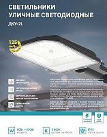 Светильник уличный линзованный светодиодный ДКУ-2L 250Вт 230В 5000К 31250Лм 125лм/Вт 48-70мм IP65 NEOX | код 4690612057507 | NEOX