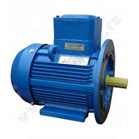 Электродвигатель 132 М2 У1, 380/660В, 1ExdIIBT4 Gb, IM 2081 11/3000 Орлан (АИМУ) | код 01.02.02.000298 | ESQ