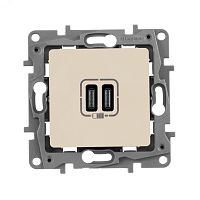 Зарядное устройство с двумя USB-разьемами тип C-тип С 240В/5В 3000мА - Etika - Цвет Белый | код 672235 | Legrand