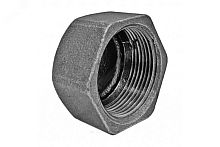 Заглушка чугунная Ду40 (1 1/2') ВР | код 128-0901 | Fittex PLUS