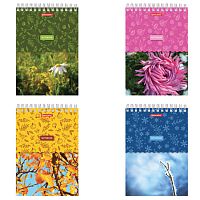 Блокнот А5 (146х206 мм), 60 л., гребень, картон, жесткая подложка, клетка, BRAUBERG, Четыре сезона, 129811 | код 129811 | BRAUBERG