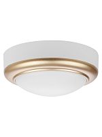 Светильник накладной LED ДПО Антарес 8Вт 6500К круг 140*58 мм мат.золото IP54 TDM | код SQ0354-0023 | TDM