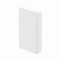 LAN 40x40 Заглушка(розница, 2 шт в пакете) | код 00868R | DKC