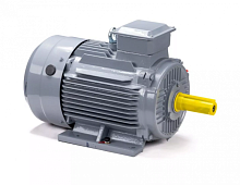 Электродвигатель 132 S6 GST-Б1-S12-IE2 IM 1081 5.5/1000 Китай (ESQ PR) | код 01.01.224021 | ESQ