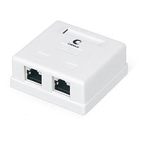 Cabeus WS-8P8C-Cat.6-SH-2 Розетка компьютерная RJ-45(8P8C), категория 6, экранированная, двойная, внешняя, Dual IDC | код 7989c | Cabeus
