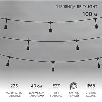 Belt-Light 2 жилы шаг 40 см подвесные патроны E27 влагостойкая IP65 | код 331-231 | NEON-NIGHT