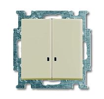 Basic 55 - Выключатель двухклавишный с подсветкой (сл.кость, блистер) | код 1012-0-2157-00.00-01.01-01.00 | ABB