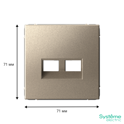 ARTGALLERY НАКЛАДКА двойная для информационных функций типа Keystone, ШАМПАНЬ | код GAL000590 | Systeme Electric фото 2