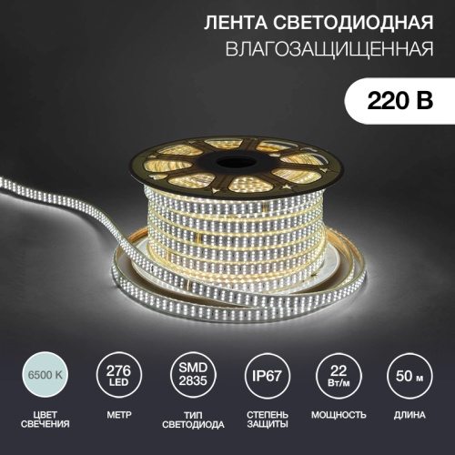 LED лента 220 В, 7.5x20 мм, IP67, SMD 2835, 276 LED/m, цвет свечения белый, 50 м | код 142-203 | NEON-NIGHT LED лента 220 В, 7.5x20 мм, IP67, SMD 2835, 276 LED/m, цвет свечения белый, 50 м | код 142-203 | NEON-NIGHT