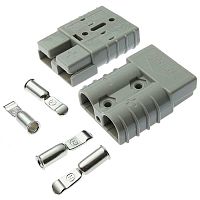 PS175 | код 116405 | Ruichi