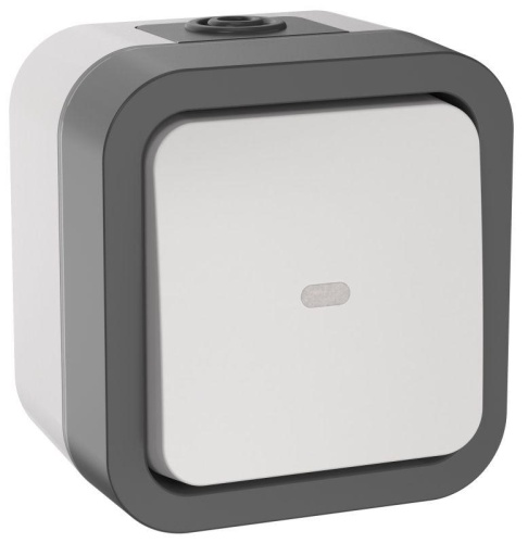 Переключатель одноклавишный с индикацией TORS 10А IP55 белый | код TS-V10-1-10-55-K41 | IEK Переключатель одноклавишный с индикацией TORS 10А IP55 белый | код TS-V10-1-10-55-K41 | IEK