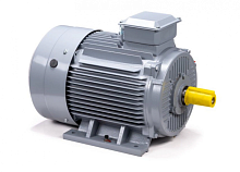 Электродвигатель 200 M4 GST-Б1-S12-IE2 IM 1001 37/1500 Китай (ESQ PR) | код 01.01.223795 | ESQ