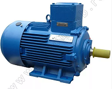 Электродвигатель 180 S4 У1, 380/660В, 1ExdIIBT4 Gb, IM 1081 22/1500 Орлан (АИМУ) | код 01.02.02.000449 | ESQ