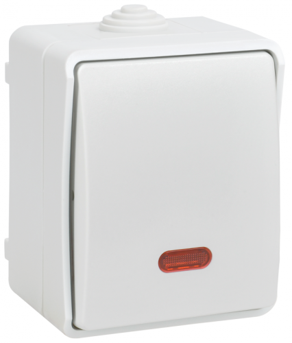 FORS Выкл. 1-кл. прох. с инд. о/у IP54 ВС20-1-1-ФБ бел. IEK | код EVS11-K01-10-54-DC | IEK