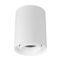 Светильник светодиодный SP-FOCUS-R110-18W Warm3000 WH 50deg 230В IP54 18Вт 3000К метал. Arlight 054867