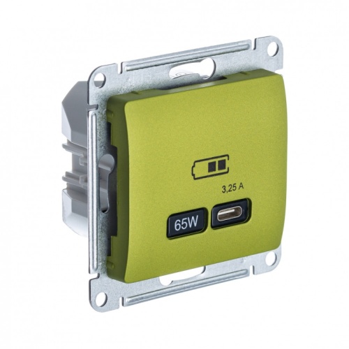 GLOSSA USB РОЗЕТКА тип-C 65Вт высокоскор.заряд. QC, PD, механизм, ФИСТАШКОВЫЙ | код GSL001027 | Systeme Electric