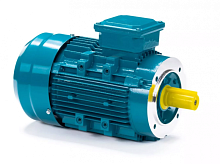 Электродвигатель 80 A2-SDN-DS IM B14 0.75/3000 Китай (ESQ) | код 01.05.223569 | ESQ