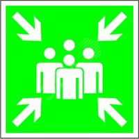 Знак безопасности NPU-2424.E21''''Пункт (место) сбора'''''' | код NPU-2424.E21 | Белый свет