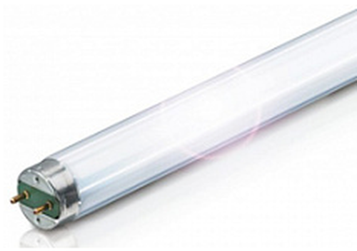 Лампа линейная люминесцентная ЛЛ 18вт T8 18/640 2 30В G13 | код 14098854 | BELLIGHT