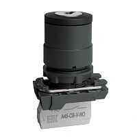 Переключатель OptiSignal D22 C5-SK-21 с ключем 2 поз пластик 1НО XB5AG21 | код 332184 | КЭАЗ