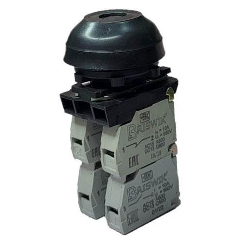 Выключатель Briswik КЕ 082/3м черный 2но+2нз Цилиндр с наружным протектором IP66 УХЛ2 10А | код aZ-DB-3Ai-0143 | Briswik Выключатель Briswik КЕ 082/3м черный 2но+2нз Цилиндр с наружным протектором IP66 УХЛ2 10А | код aZ-DB-3Ai-0143 | Briswik