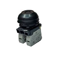 Выключатель Briswik КЕ 081/5м черный 0но+1нз Цилиндр с наружным протектором IP66 УХЛ2 10А | код aZ-DB-3Ai-0112 | Briswik